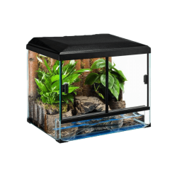 T store PW terrrium